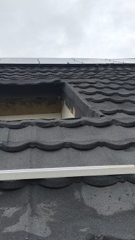 our project